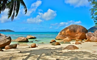Картинка отдых, экзотика, Сейшелы, океан, relax, природа, Seychelles