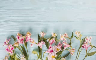 Картинка цветы, colorful, beautiful, lily, pink, spring, flowers, wood
