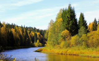 Картинка осень, берег, деревья, лес, Россия, Пермский край, река