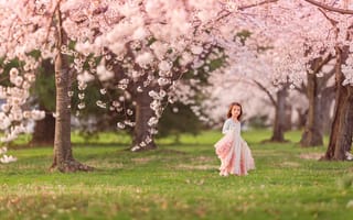 Картинка Cherry blossoms, девочка, цветение, весна