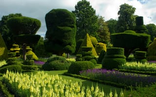 Картинка Великобритания, Bodnant Gardens Wales, зелень, клумбы, Львиный зев, деревья, цветы, дизайн, Парк, кусты, газоны