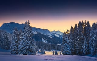 Картинка горы, лес, утро, Альпы, зима, снег