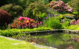 Картинка Великобритания, зелень, кусты, цветы, пруд, разноцветные, сад, Mount Pleasant gardens