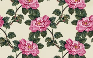 Картинка цветы, vintage, roses, flowers, текстура