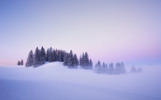 Картинка зима, снег, утро, Switzerland, ели, Юра, деревья, сугробы, Tête-de-Ran, туман, Швейцария, рассвет, Jura Mountains