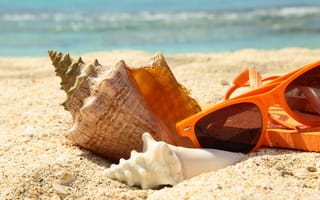 Картинка summer, море, лето, пляж, accessories, ракушка, песок, очки, отдых, beach, sun, glasses, vacation