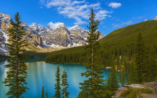 Обои Канада, Moraine Lake, деревья, скалы, Alberta, горы, лес, Banff National Park, озеро, Canada
