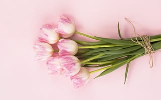 Картинка цветы, букет, flowers, pink, тюльпаны, tulips, 