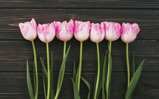 Картинка цветы, букет, wood, тюльпаны, flowers, tulips, pink, розовые