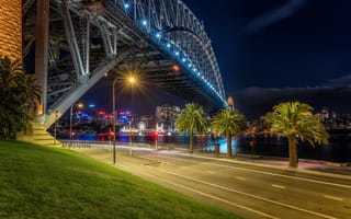 Картинка австралия, огни, ночь, сидней, дорога, пальмы, мост, река