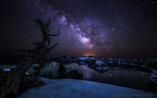Картинка США, звезды, млечный путь, штат, Орегон, дерево, Национальный парк Озеро Крейтер, ночь