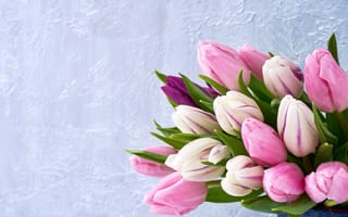 Обои цветы, spring, розовые, flowers, fresh, pink, тюльпаны, букет, tulips