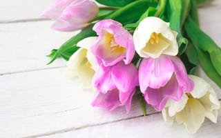 Обои цветы, букет, pink, white, fresh, тюльпаны, розовые, tulips, spring, flowers