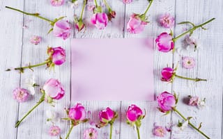 Картинка цветы, розы, бутоны, розовые, pink, roses, frame, flowers, beautiful, рамка