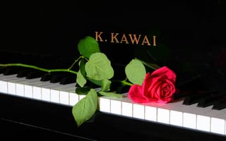 Картинка пианино, музыка, роза