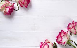 Картинка цветы, розы, pink, букет, beautiful, розовые, flowers, roses