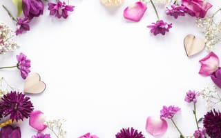 Картинка цветы, рамка, floral, frame, flowers, purple, petals, лепестки