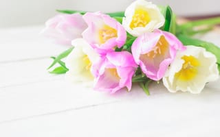 Картинка цветы, flowers, розовые, white, romantic, tulips, pink, spring, тюльпаны, love, fresh, букет