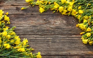 Картинка цветы, spring, yellow, blossom, желтые, доски, wood, flowers