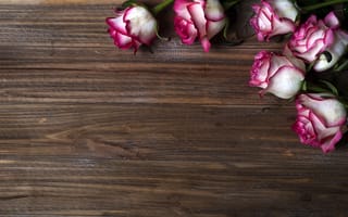 Картинка цветы, розы, pink, beautiful, flowers, бутоны, розовые, wood