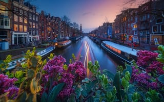 Картинка свет, огни, город, Амстердам, канал
