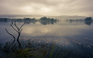 Картинка утро, туман, озеро