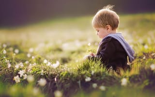 Картинка мальчик, лето, цветы
