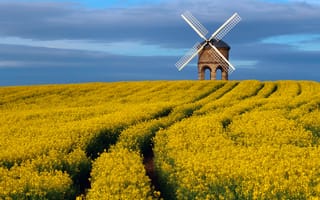Картинка Великобритания, Chesterton Windmill, небо, Апрель, графство, Уорикшир, весна, ветряная мельница, памятник архитектуры, поле, рапс