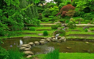 Картинка Франция, сад, Albert Kahn Japanese gardens, ветки, листья, пруд, зелень, трава, деревья, кусты, камни