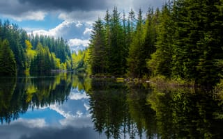 Картинка Канада, Британская Колумбия, лес, отражения, весна, озеро