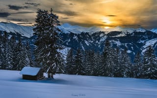 Картинка Альпы, зима, горы, снег, лес