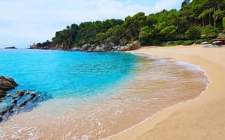 Картинка море, зелень, пляж, Spain, Platja de Treumal, лето, побережье, Испания