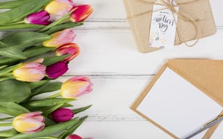 Картинка цветы, colorful, wood, tulips, pink, flowers, тюльпаны, gift