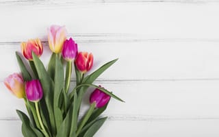 Картинка цветы, colorful, flowers, тюльпаны, pink, tulips, розовые, wood