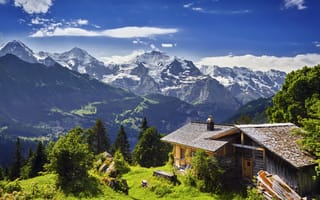 Картинка Швейцария, панорама, домик, деревья, трава, ледник, ущелье, скалы, камни, горы, Grindelwald