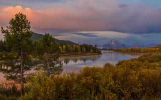 Картинка США, река, лес, кусты, берег, Grand Teton, осень, Wyoming, горы, деревья, закат