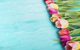Картинка цветы, colorful, flowers, pink, розовые, тюльпаны, tulips, wood