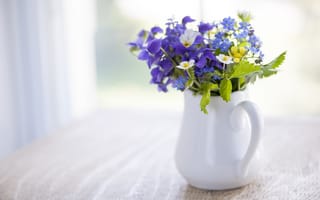 Картинка цветы, ваза, стол, лето