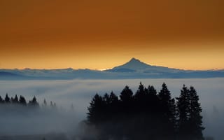 Картинка mount Hood, горы, город, огни, лес, туман, вечер, Eastern Oregon