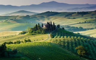 Обои Италия, деревья, виноградники, Тоскана, поля, дом