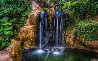 Картинка вода, утес, nature, водопад, растения, plants, скала, park, waterfalls, HDR, парк