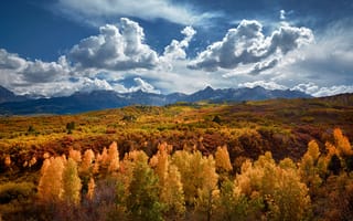 Обои США, золотой лес, Колорадо, штат, осень, горы