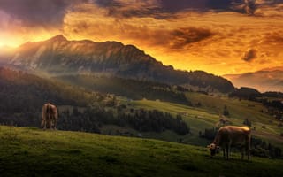 Картинка Idyll, облака, небо, вид, коровы, обработка, пейзаж, горы