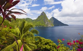 Картинка Карибы, пальмы, горы, остров, океан, побережье