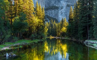 Картинка Yosemite National Park, деревья, лес, США, река, Калифорния, горы