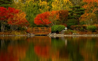 Картинка осень, деревья, Beaverton, пруд, японский сад, озеро, Бивертон, водоём, Орегон, мост, Nissho Iwai Garden, Oregon