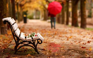 Картинка Adios, goodbye, зонт, скамья, уход, роза, цветок, парк, осень, человек