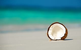 Картинка Мальдивы, пляж, орех, океан, кокос