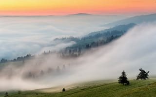 Картинка природа, утро, склон, туман