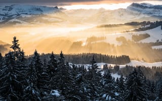 Картинка Зима, утро, горы, лучи, Альпы, небо, лес, свет